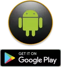 Download from Google Play